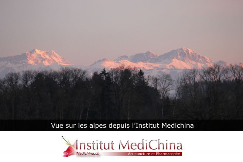 Institut Medichina