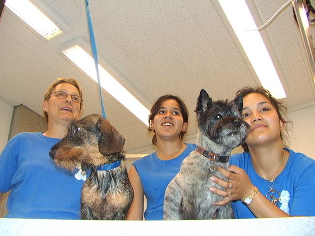 Au bonheur des chiens