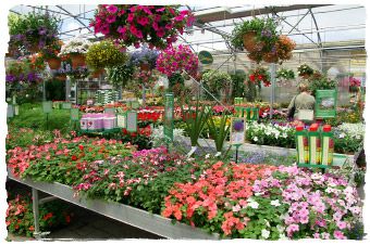 Garden Centre Schilliger Genève