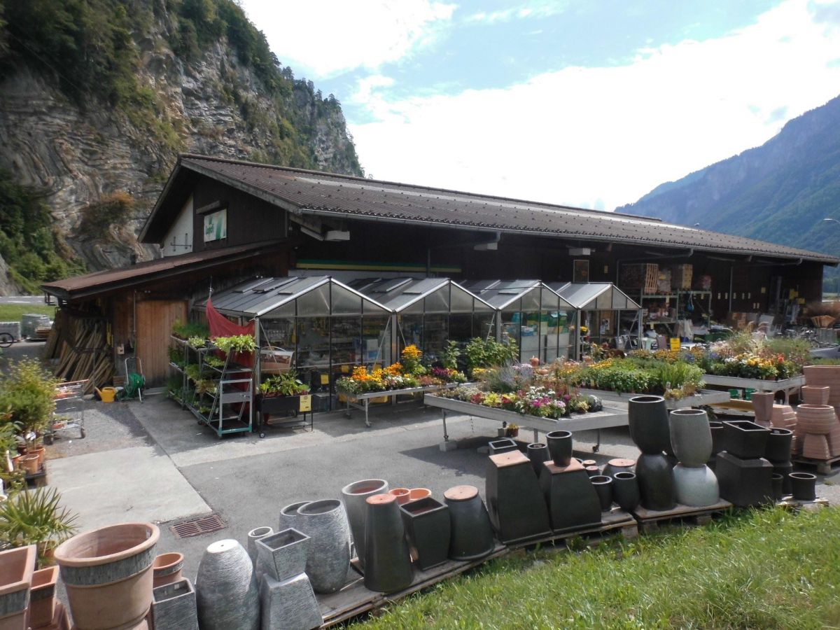 LANDI Jungfrau AG - Brienz