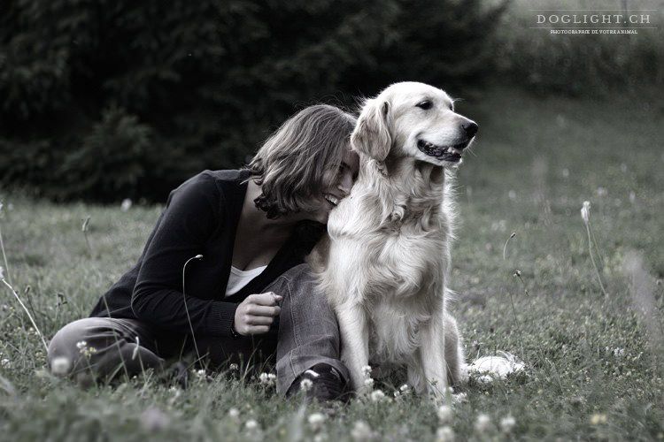 Doglight - Photographe pour chiens, chats, chevaux