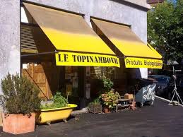 Le Topinambour