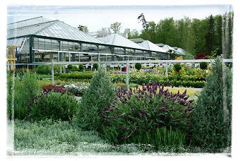 Garden Centre Schilliger Matran