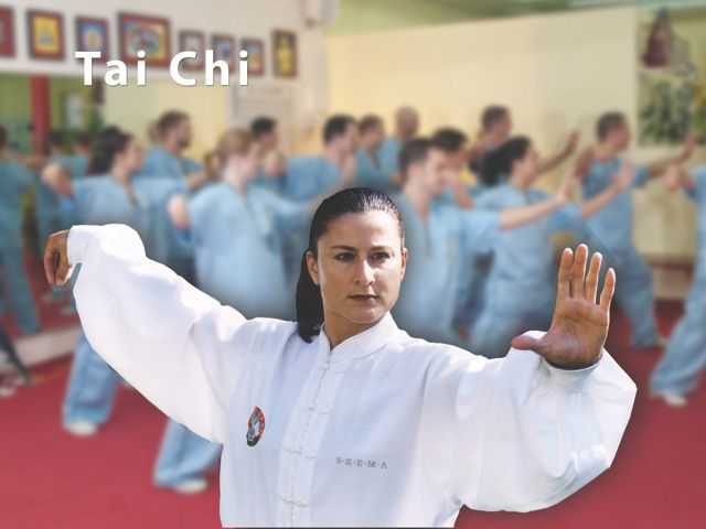 Kampfkunst Basel SKEMA