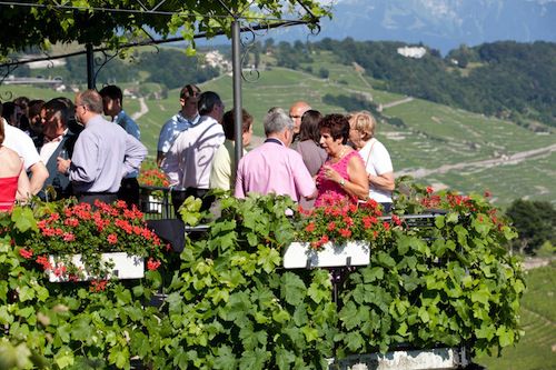 Domaine Croix Duplex