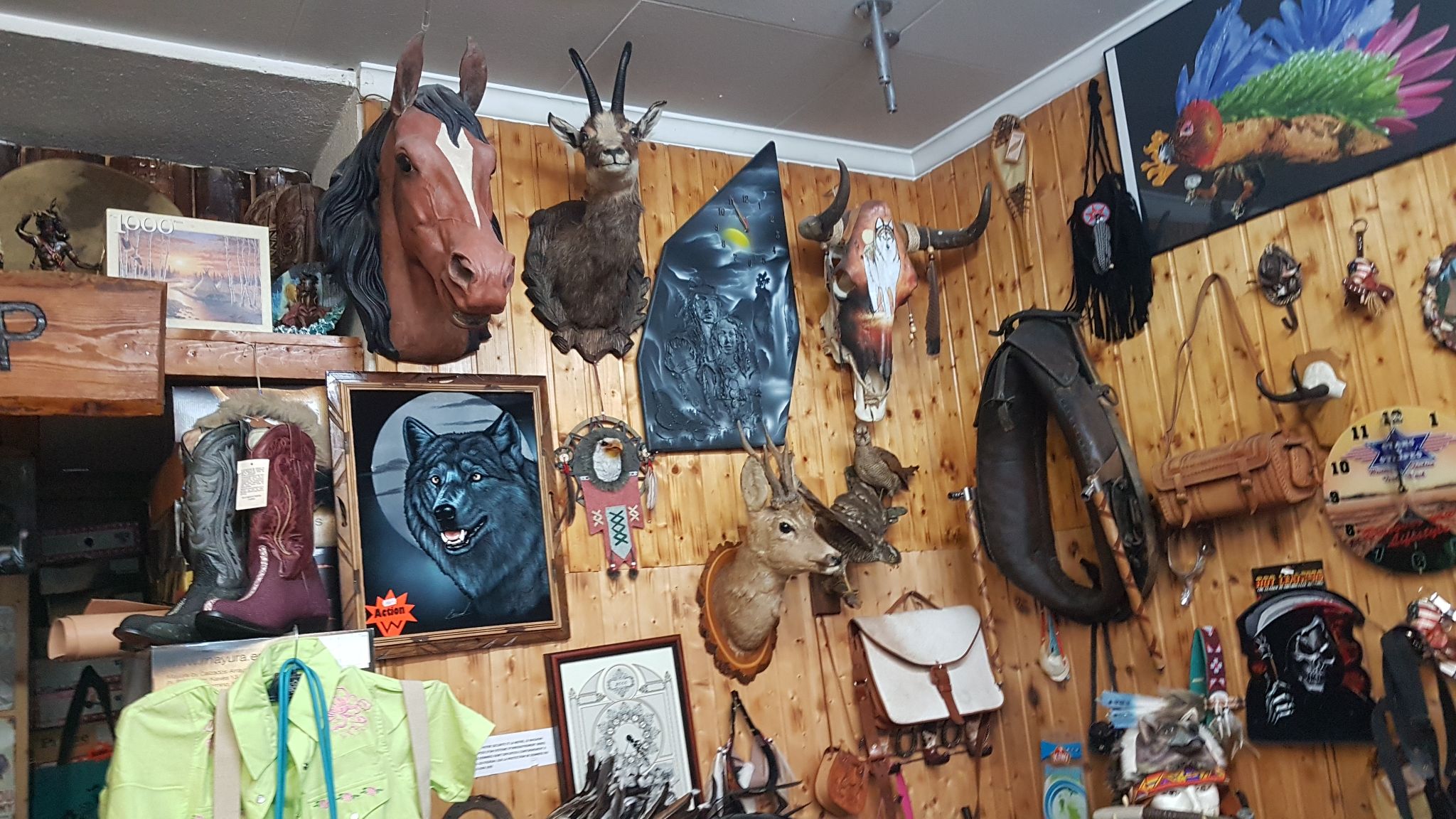 Rodeo Shop Western