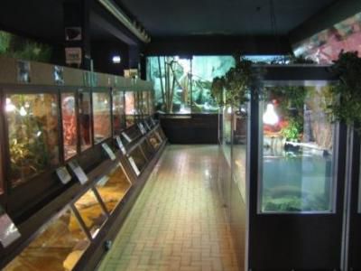 Vivarium de Lausanne