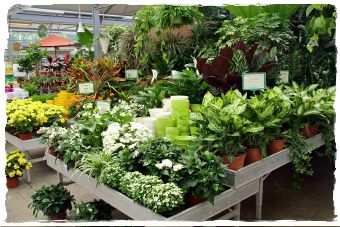 Garden Centre Schilliger Genève