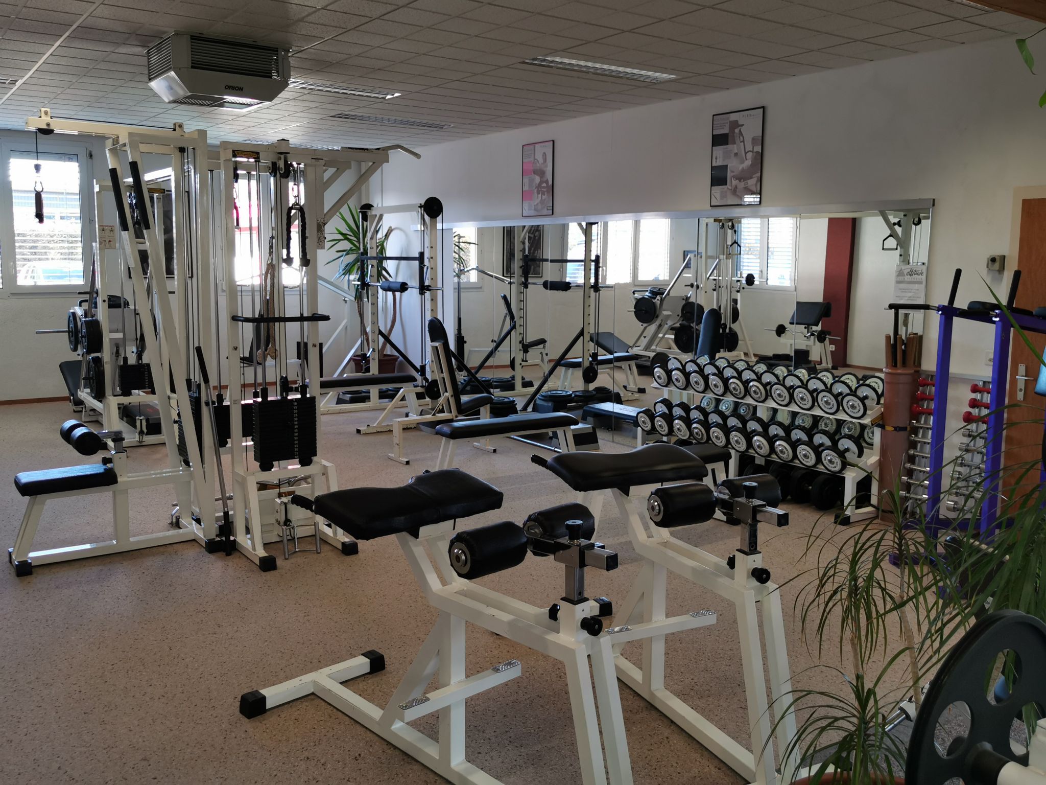 Attitude Club Fitness