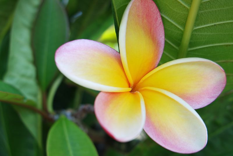 Espace massage Coeur et-sens-ciel