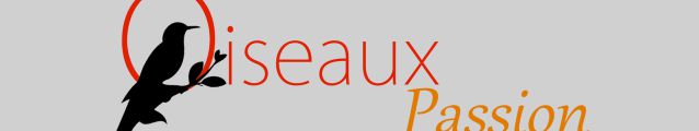 Oiseaux Passion Sàrl
