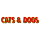 Cats and Dogs